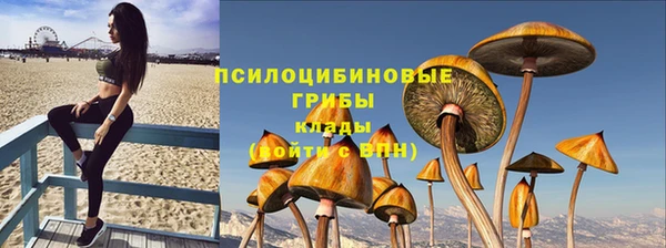 твердый Сосновка