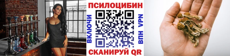 Галлюциногенные грибы MAGIC MUSHROOMS  Купить  Пенза 